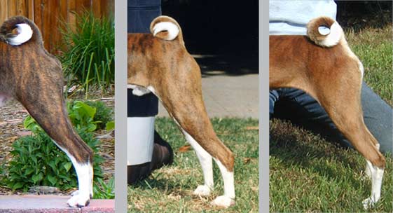Range of Good Rears