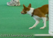 Agility Turn