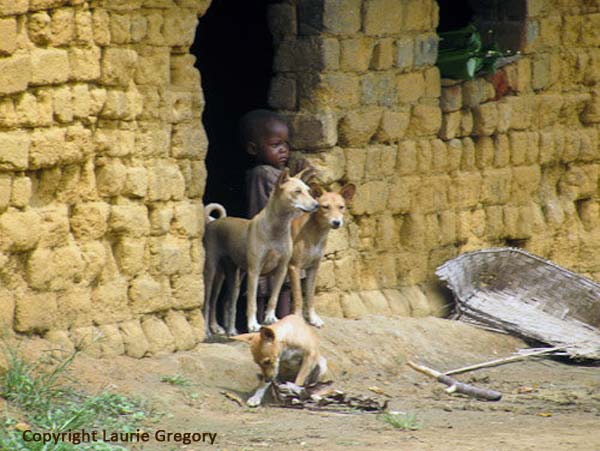 At Home in Africa