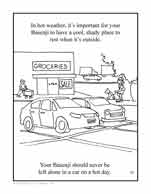 Coloring page 13: Training your basenji