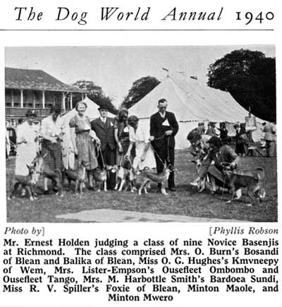 Basenjis at show in 1940
