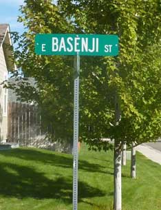 Street named Basenji