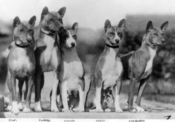 1930s photo