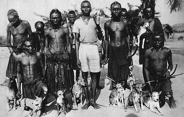 Old African photo with Basenjis