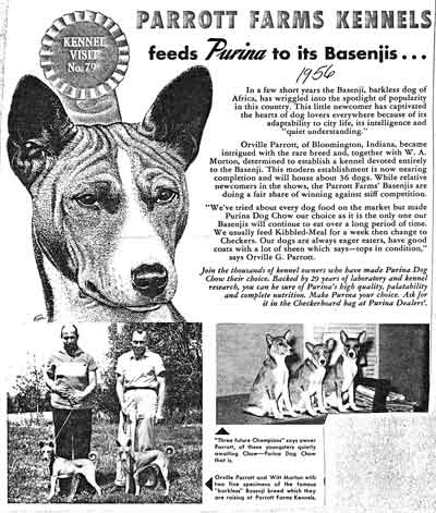 Advertising with Basenji