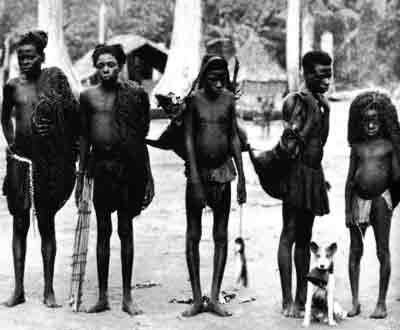 Pygmy Group with Basenji