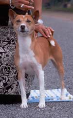 Avongara Bernadette