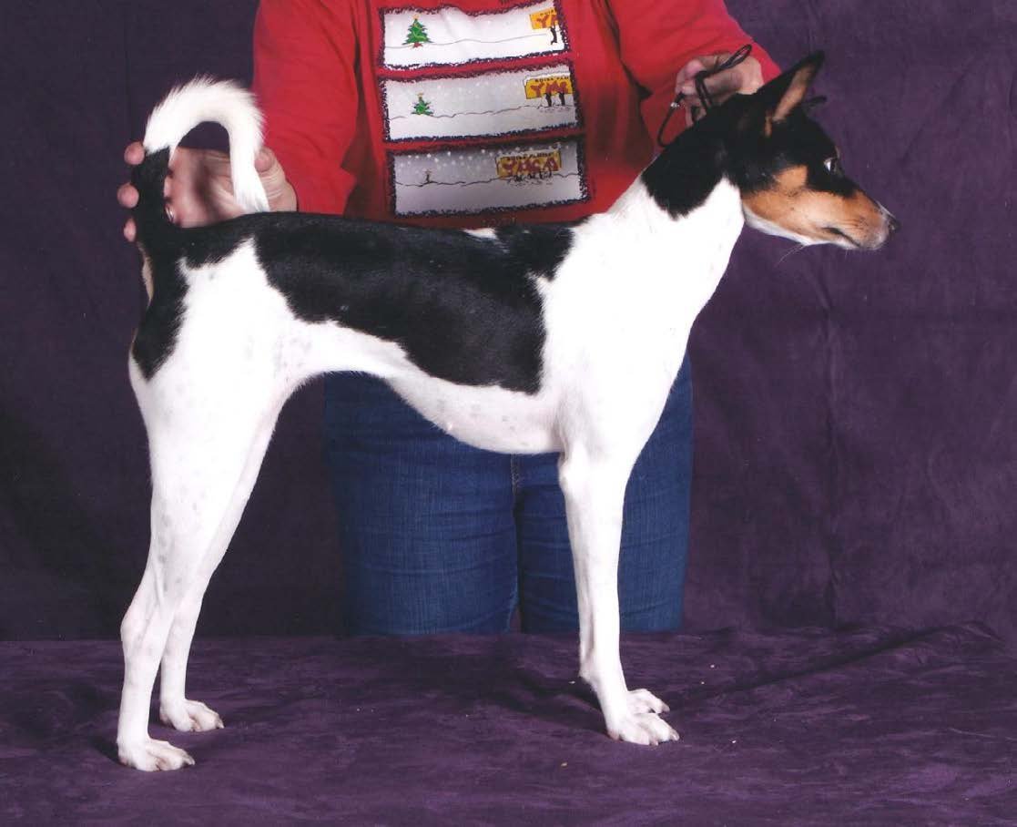 Avuvi Djodougbe