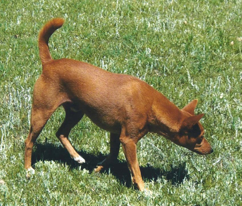 Avuvi Enagnon