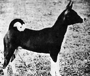Side view of Tahzu.