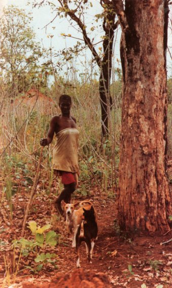 An Azande woman with her basenji in the bush near her hut