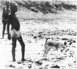 A basenji-type dog beside a Bodi tribesman on a partially dried up tributary of the Omo River, Ethiopia