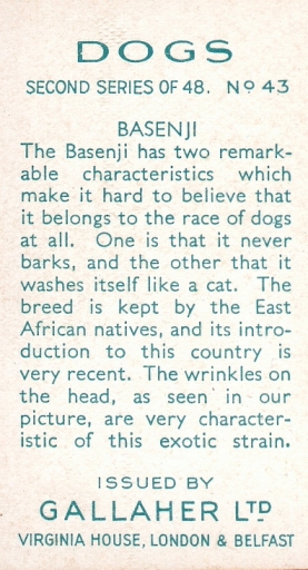 Back of the 1938 Gallaher Ltd. cigarette card of Bongo of Blean