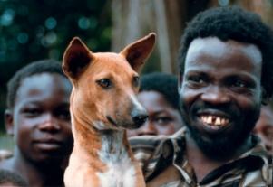 Red native basenji held against the shoulder of a smiling man, with villagers around them
