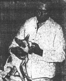 Congo, the barkless stowaway, held by Fred Barrett at the Boston Animal Rescue League