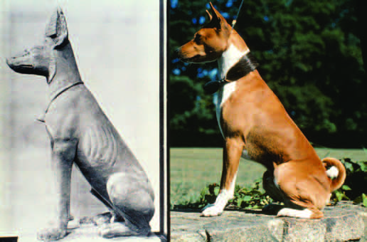 Egyptian statue of a basenji-type dog alongside a modern basenji in the same seated pose