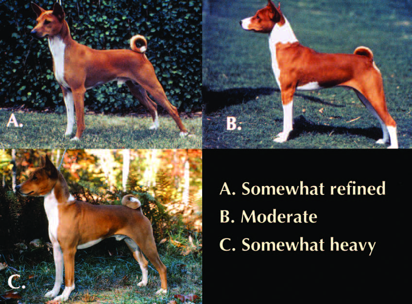 Examples of substance ranging from too light to too heavy